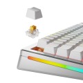 Glorious Gaming GLO-KB-ACC-SWT-PANDA-HE-36 bez kategorii - 2594327