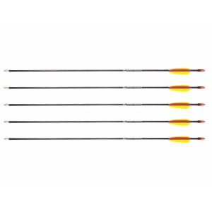 Strzały z włókna szklanego 28" Poe Lang - zestaw 5 sztuk (D-055-B3)