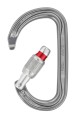 Petzl Am’D Zapięcie z blokadą W kształcie litery D Aluminium Szary 1 szt. - 2601918