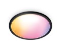 WiZ | Sufit Smart WiFi SuperSlim 545mm, czarny | 32 W | 2200-6500 K (RGB) - 2623924