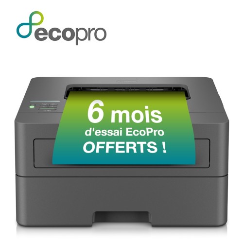 Brother HL-L2400DWE drukarka laserowa 1200 x 1200 DPI A4 Wi-Fi - 2624038