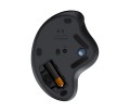 Logitech ERGO M575 for Business myszka Biuro Po prawej stronie RF Wireless + Bluetooth Manipulator kulkowy 2000 DPI - 2463821
