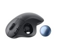 Logitech ERGO M575 for Business myszka Biuro Po prawej stronie RF Wireless + Bluetooth Manipulator kulkowy 2000 DPI - 2624203