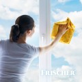 Płyn do mycia szyb Frischer z funkcją antypary 1l - 2621405