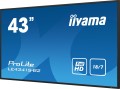 Monitor iiyama ProLite LE4341S-B2 - 43-calowy płaski ekran - 108 cm - 2623440