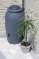 Pojemnik na deszczówkę AQUA CAN 210L- antracyt - 2591926