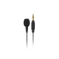 Jeździł Lavalier GO - 1050965