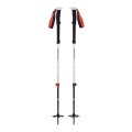 Black Diamond Expedition 2 kije do nart 2 szt. 155 cm Czarny, Szary - 2632570
