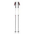 Black Diamond Expedition 2 kije do nart 2 szt. 155 cm Czarny, Szary - 2632569