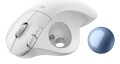 Logitech ERGO M575S - 2638898