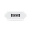 Apple 5W Power USB-A Adapter - 2628559
