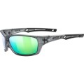 Uvex sportstyle 232 P Okulary do wielu sportów Unisex Oprawki pełne Szary - 2632615