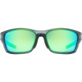 Uvex sportstyle 232 P Okulary do wielu sportów Unisex Oprawki pełne Szary - 2632616