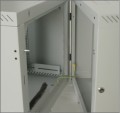 Triton 19" Rack Wall-mount 9U/250 glass door Szafa wisząca Szary - 2644006