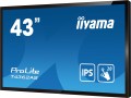 Płaski panel interaktywny Iiyama T4362AS-B1 - 108 cm (42.5") - IPS - 3840 x 2160 pikseli - 24/7 - 2650622