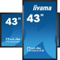Płaski panel interaktywny Iiyama T4362AS-B1 - 108 cm (42.5") - IPS - 3840 x 2160 pikseli - 24/7 - 2650612