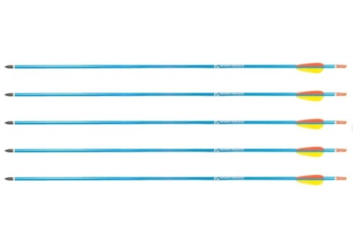 Strzały aluminiowe 30" BLUE Poe Lang - zestaw 5 szt - 2653837