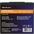 Akumulator LiFePO4 Qoltec Litowo-Żelazowo-Fosforanowy | 12.8V | 30Ah | 384Wh | BMS - 1670940