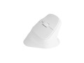 Mysz bezprzewodowa Natec Crake 2 Bluetooth 5.2 + 2.4GHz 2400DPI wertykalna biała - 2534025