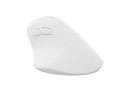Mysz bezprzewodowa Natec Crake 2 Bluetooth 5.2 + 2.4GHz 2400DPI wertykalna biała - 2534027