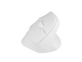 Mysz bezprzewodowa Natec Crake 2 Bluetooth 5.2 + 2.4GHz 2400DPI wertykalna biała - 2534029