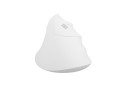 Mysz bezprzewodowa Natec Crake 2 Bluetooth 5.2 + 2.4GHz 2400DPI wertykalna biała - 2534032