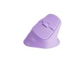 Mysz bezprzewodowa Natec Crake 2 Bluetooth 5.2 + 2.4GHz 2400DPI wertykalna pure lavender - 2534036
