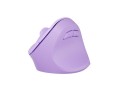Mysz bezprzewodowa Natec Crake 2 Bluetooth 5.2 + 2.4GHz 2400DPI wertykalna pure lavender - 2534042