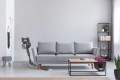Hoover HF1 HF103X 011 Pionowy odkurzacz Bateria Suchy Tkanina Bez worka 0,9 l 170 W Tytan - 2581801