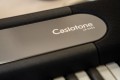 CASIO LK-S450 - Keyboard - 2587206