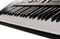 CASIO CTK-240 - Keyboard - 2587228
