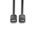 Lindy 36493 kabel DisplayPort 3 m Czarny - 2678836