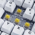 Sharkoon SKILLER SGK50 S3 PBT klawiatura Gaming USB QWERTZ Niemiecki Biały - 2671244