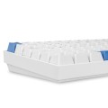 Sharkoon SKILLER SGK50 S3 PBT klawiatura Gaming USB QWERTZ Niemiecki Biały - 2671246