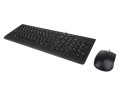 Lenovo 300 klawiatura Dołączona myszka Uniwersalne USB QWERTY US English Czarny - 2671294