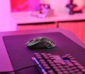 Trust GXT 929 Helox myszka Gaming Po prawej stronie RF Wireless Optyczny 4800 DPI - 2681269