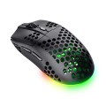 Trust GXT 929 Helox myszka Gaming Po prawej stronie RF Wireless Optyczny 4800 DPI - 2681265