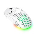 Trust GXT 929 Helox myszka Gaming Po prawej stronie RF Wireless Optyczny 4800 DPI - 2671529