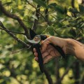 Fiskars Solid M P321 Nożyce ogrodowe Bypass Czarny, Pomarańczowy - 2687723