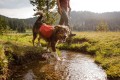 Plecak dla psa Ruffwear Front Range Day Pack - blue moon rozmiar: xs - 2688422