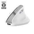 Mysz Trust BAYO II ERGONOMIC WIRELESS White - 2688941