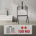 MACLEAN WÓZEK DO TV, PÓŁKA NA KAMERĘ, NA KÓŁKACH, 55-100", MAX. OBCIĄŻENIE 120KG/10KG PÓŁKA, MAX. VESA 900X600 MC-114 B - 2690677