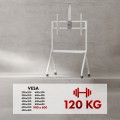MACLEAN STAND / WÓZEK DO TV, PÓŁKA NA KAMERĘ, NA KÓŁKACH, 55-100", MAX. OBCIĄŻENIE 120KG/10KG PÓŁKA, MAX. VESA 900X600 MC-114 - 2690687