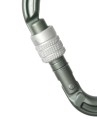 Edelrid 737990006630 karabińczyk do wspinaczki Zapięcie z blokadą W kształcie litery D Aluminium Metaliczny 1 szt. - 2683270
