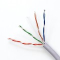 Qoltec Kabel sieciowy/skrętka UTP | CAT6 | 305m | PVC szary - 1323387