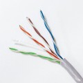 Qoltec Kabel sieciowy/skrętka UTP | CAT5E | 305m | PVC szary - 1323381
