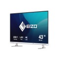 Monitor EIZO 108cm (42,5") EV4340X-WT 16:09 4K 2xHDMI+DP+USB-C IPS - 2710098