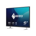 Monitor EIZO 108cm (42,5") EV4340X-BK 16:09 4K 2xHDMI+DP+USB-C IPS - 2710106
