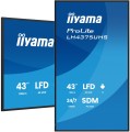 Monitor IIYAMA 108cm (42,5") LH4375UHS-B2AG 16:9 2xHDMI+3xDP+2xUSB - 2710203