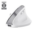 Mysz ergonomiczna TRUST Bayo+ Multidevice Wireless - 2722891